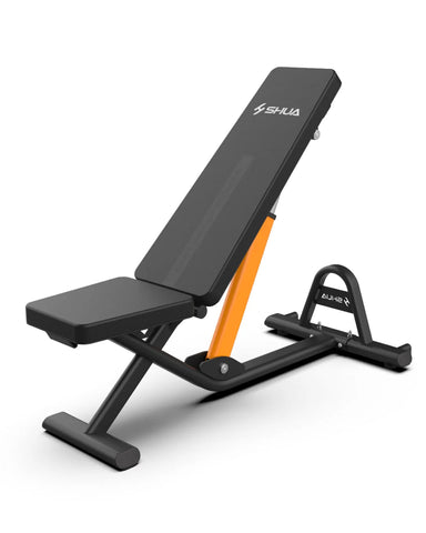 Adjustable Dumbbell Bench