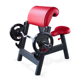 Seated Curl Bench Sec