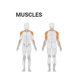 DELTOID PRESS FREEWEIGHT