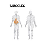 ABDOMINAL CRUNCH FREEWEIGHT