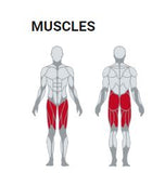 Multi Hip Fit Evo