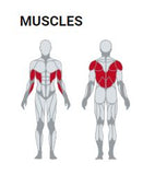Lat Pulldown Fit Evo