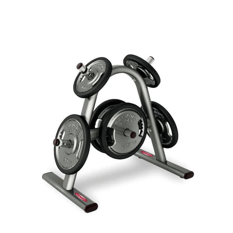 DISK RACK