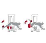 Leg Curling